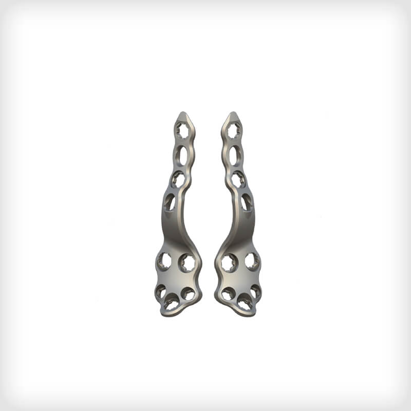 Posterior TTC Fusion Plates